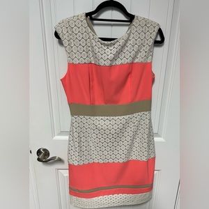 Sandra Darren Woman’s Dress